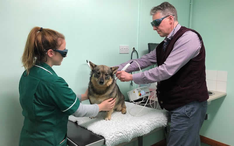 Andy Jennings Holme Vets Laser Treatment